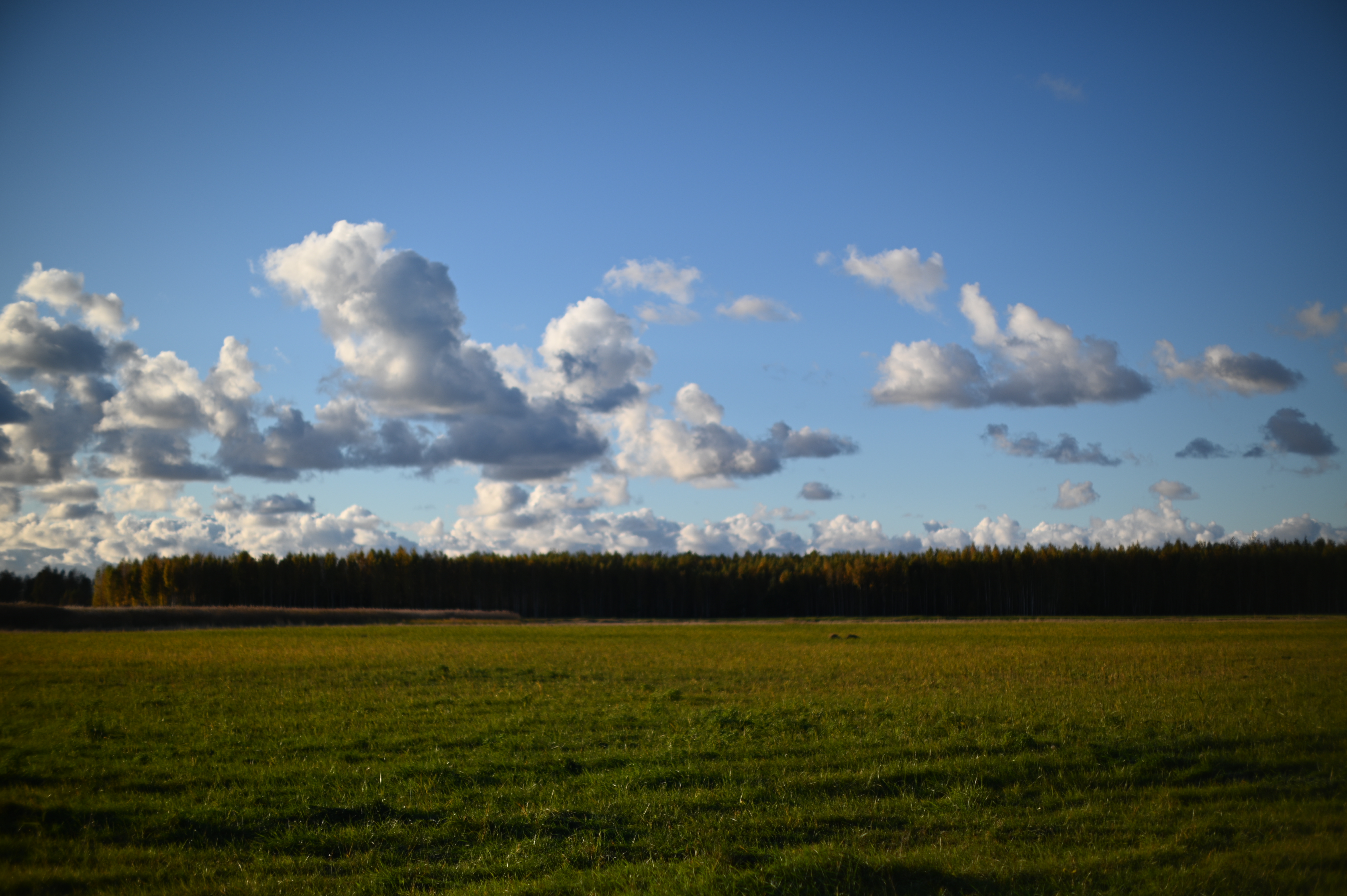 2025/10/18 - walk/DSC_0166.JPG